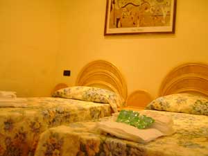 Executive double or twin with city view, and private facilities